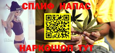 ешки Ставрополь