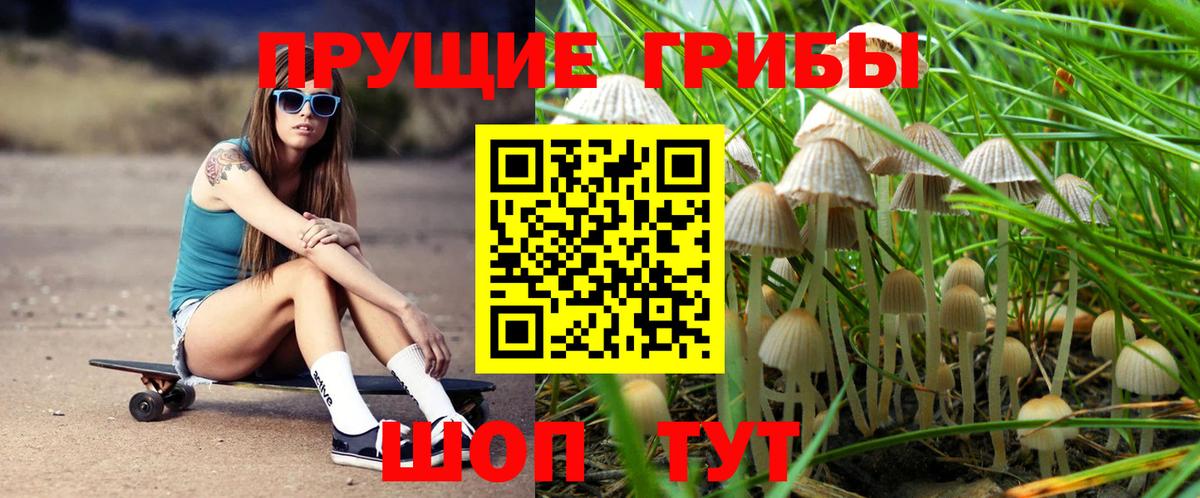 Галлюциногенные грибы Cubensis Можайск