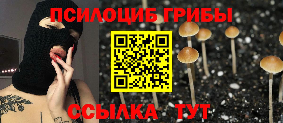 закладка  Псилоцибиновые грибы GOLDEN TEACHER  Вход с VPN  Можайск 